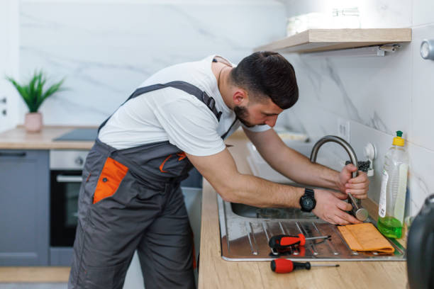 Best Local Plumber Services  in Sault Ste Marie, MI